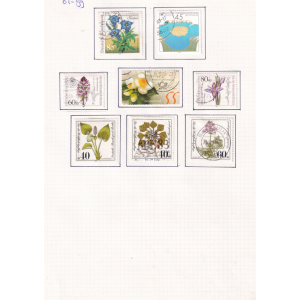 01-99_brd__1981-2004